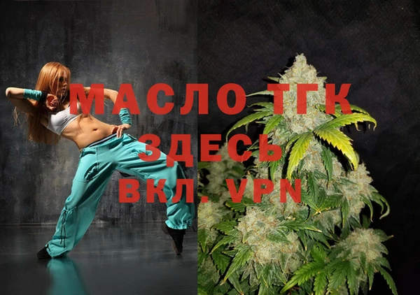 индика Горно-Алтайск