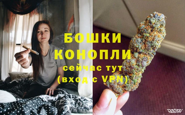 индика Горно-Алтайск