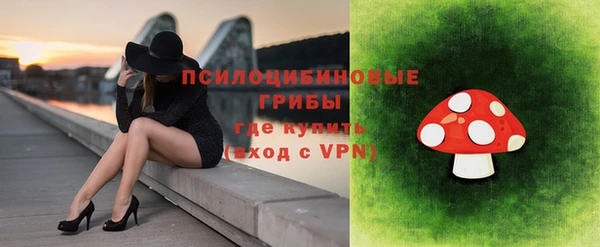 индика Горно-Алтайск