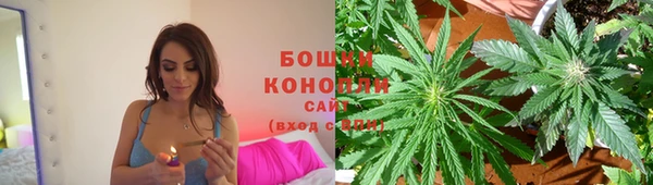 Альфа ПВП Горнозаводск