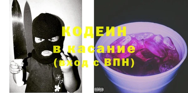 индика Горно-Алтайск