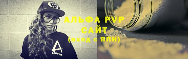 индика Горно-Алтайск