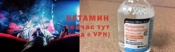 индика Горно-Алтайск