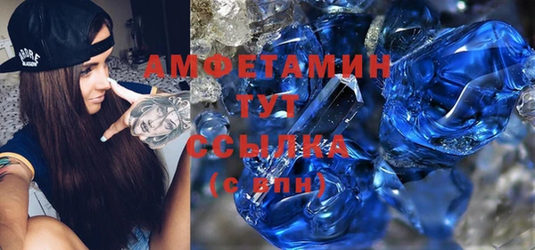 индика Горно-Алтайск