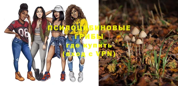 индика Горно-Алтайск