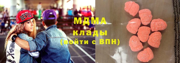 индика Горно-Алтайск